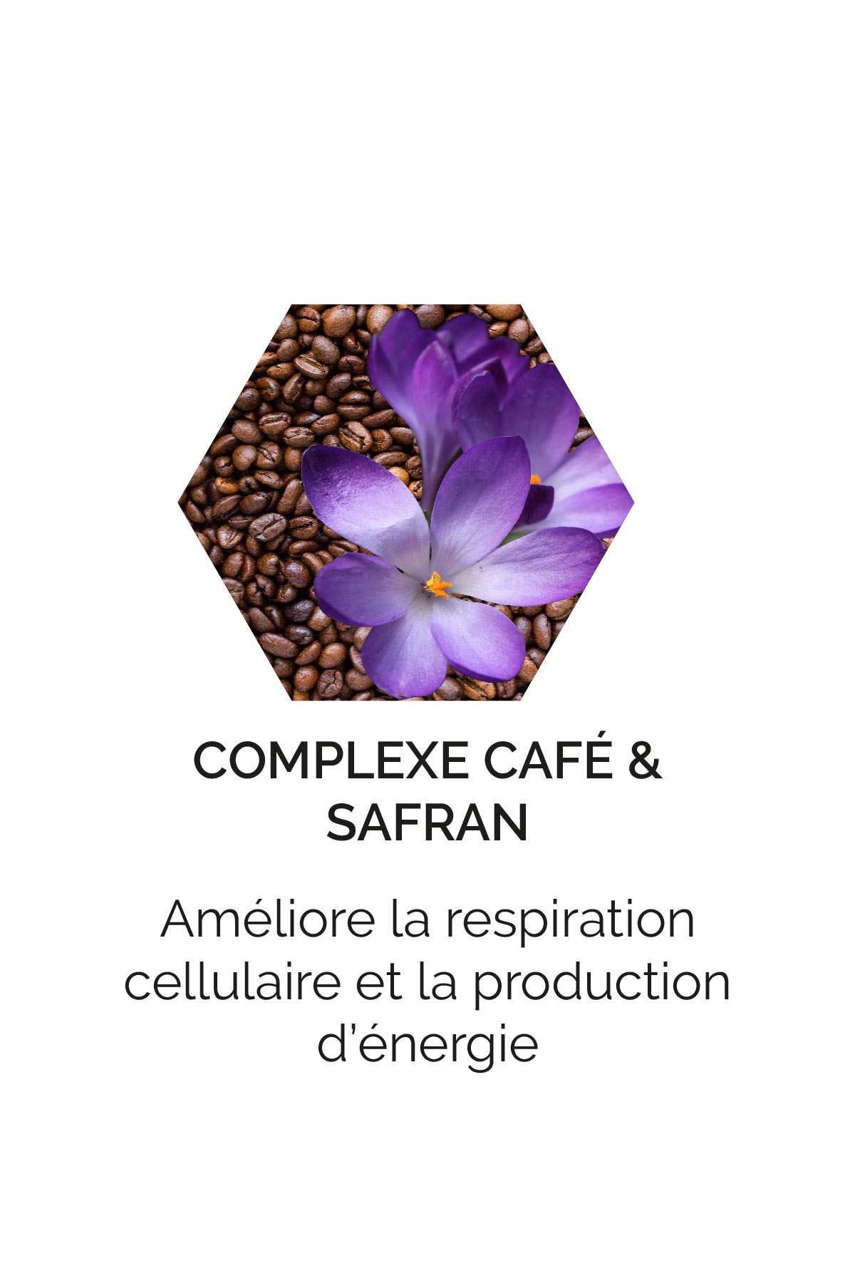 Complexe Café & Safran