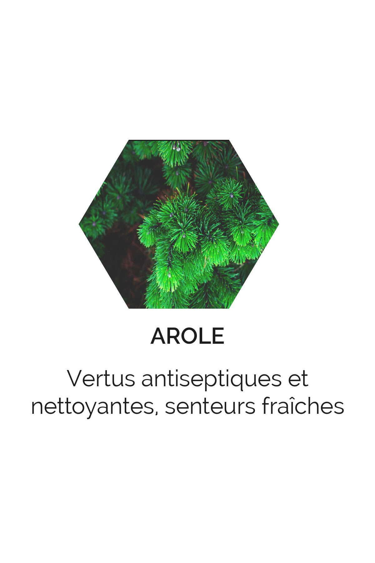 Arole