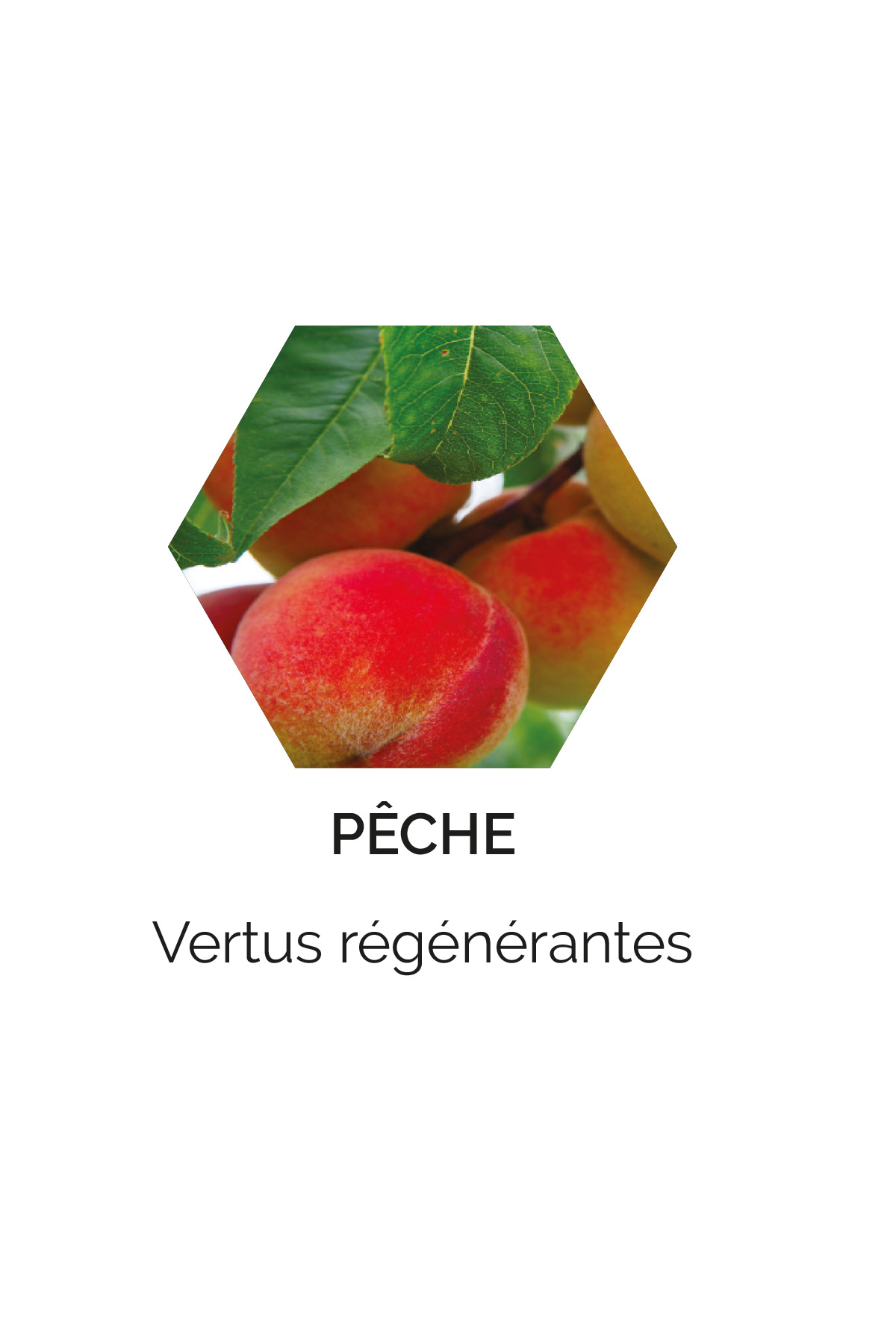 Pêche