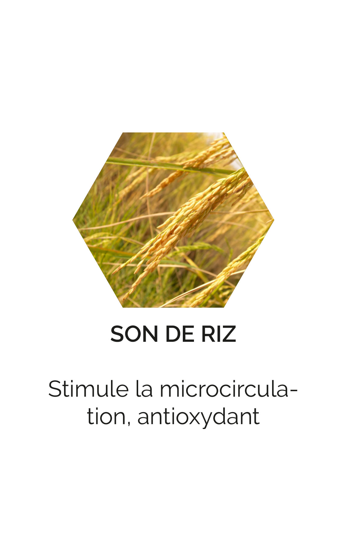 Son de riz